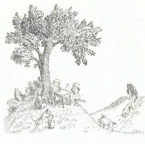 Сказки (илл. Конашевича В.М.) _145.jpg