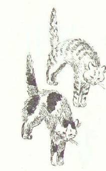 Сказки (илл. Конашевича В.М.) _164.jpg