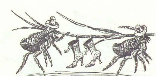 Сказки (илл. Конашевича В.М.) _54.jpg