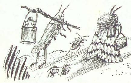 Сказки (илл. Конашевича В.М.) _55.jpg