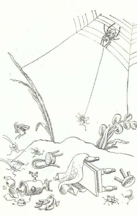 Сказки (илл. Конашевича В.М.) _59.jpg