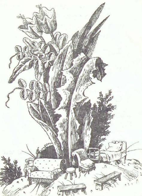Сказки (илл. Конашевича В.М.) _60.jpg