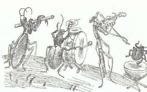 Сказки (илл. Конашевича В.М.) _66.jpg