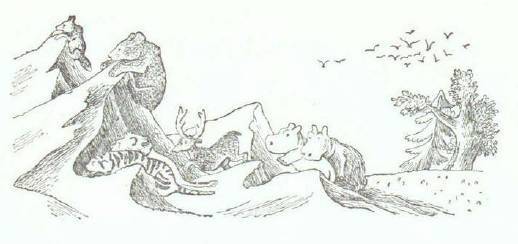 Сказки (илл. Конашевича В.М.) _88.jpg