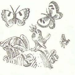Сказки (илл. Конашевича В.М.) _93.jpg