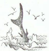 Сказки (илл. Конашевича В.М.) _100.jpg