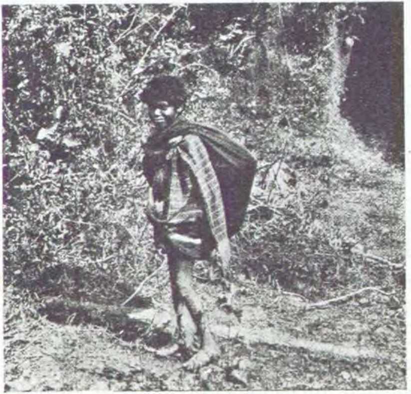 В джунглях Индии  i_015.jpg