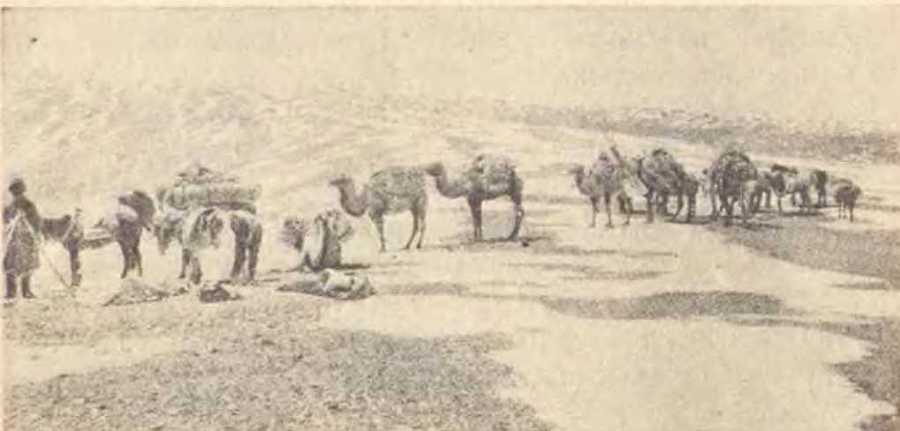 В заоблачной стране i_015.jpg