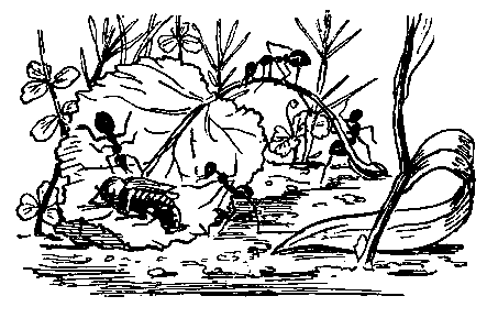 Живые фонарики pic_66.png