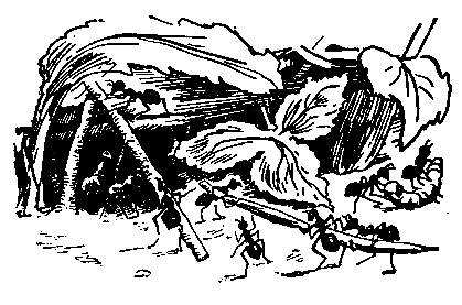 Живые фонарики pic_67.png