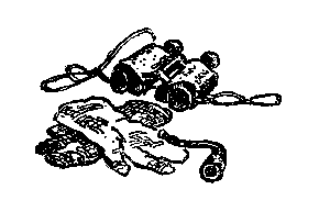 Живые фонарики pic_41.png