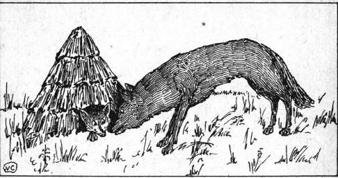 Сказки - картинки. Лисица и заяц. Ворона и рак _5.jpg