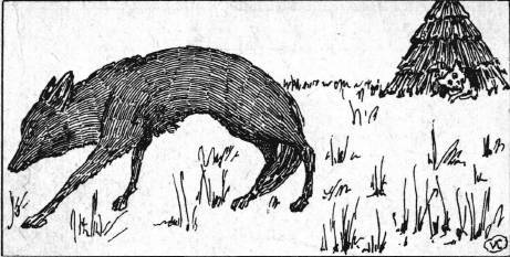 Сказки - картинки. Лисица и заяц. Ворона и рак _6.jpg
