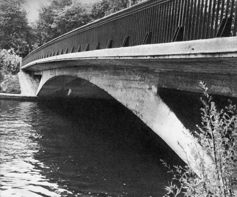 Мосты повисли над водами... _105.jpg