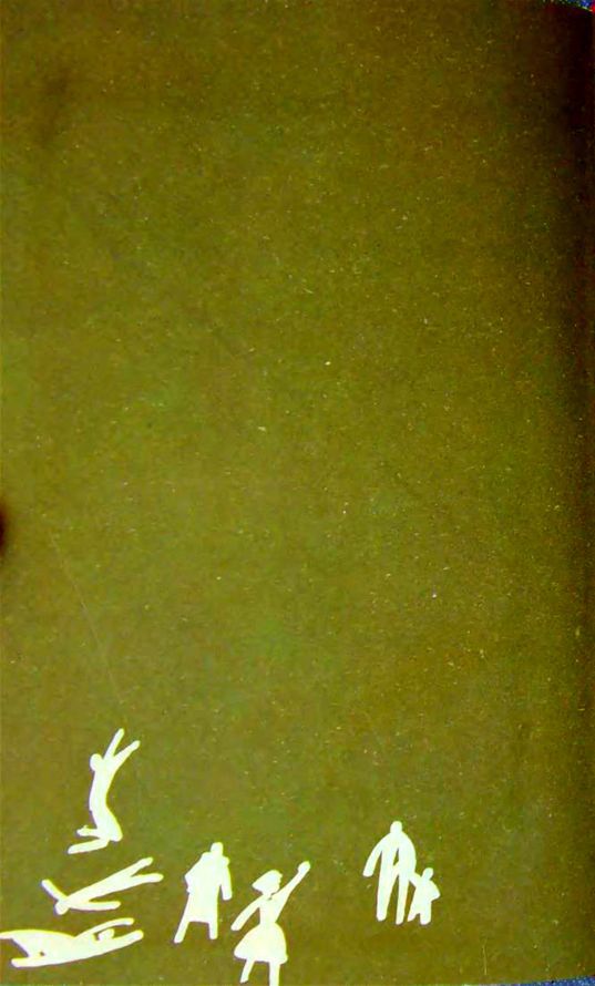 Демократия (сборник) i_009.jpg