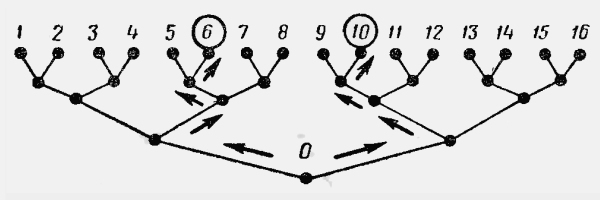 Репортаж с ничейной земли. Рассказы об информации _7.jpg