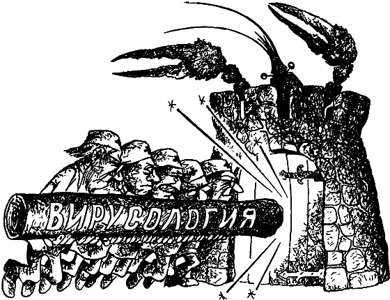 Беседы о вирусах (с илл.) i_007.png