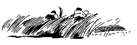 Назарка-атаман pic_11.png