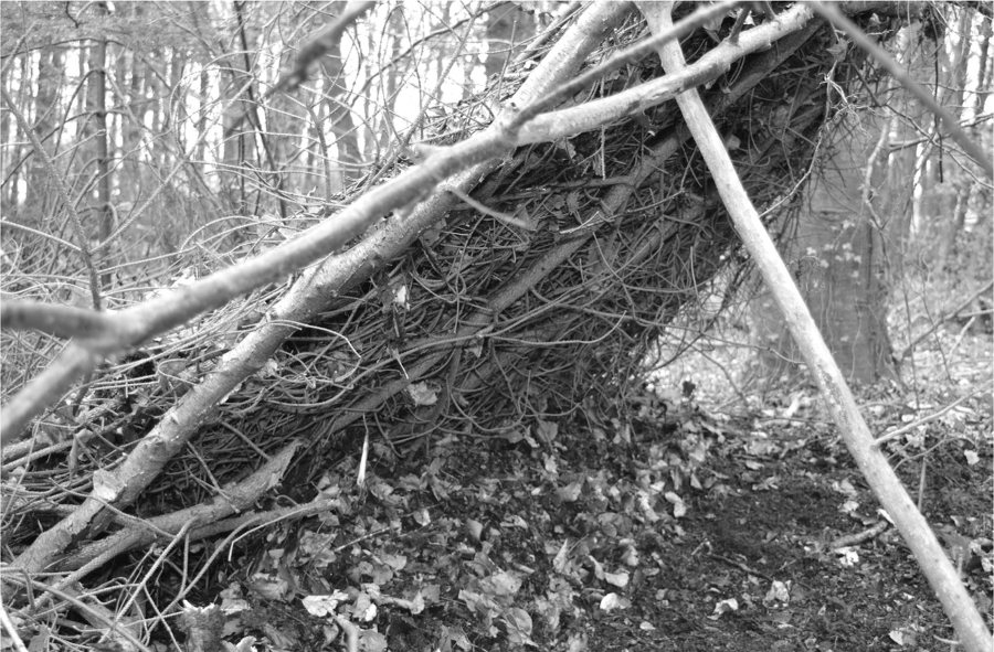 The Complete Survival Shelters Handbook: A Step-by-Step Guide to Building Life-saving Structures for Every Climate and Wilderness Situation  _2.jpg