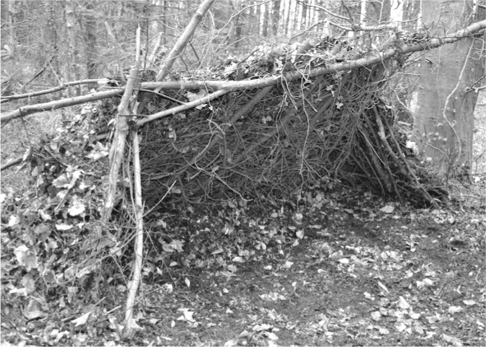 The Complete Survival Shelters Handbook: A Step-by-Step Guide to Building Life-saving Structures for Every Climate and Wilderness Situation  _52.jpg