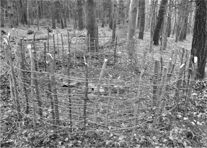 The Complete Survival Shelters Handbook: A Step-by-Step Guide to Building Life-saving Structures for Every Climate and Wilderness Situation  _68.jpg