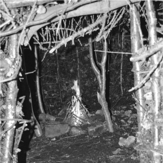 The Complete Survival Shelters Handbook: A Step-by-Step Guide to Building Life-saving Structures for Every Climate and Wilderness Situation  _80.jpg