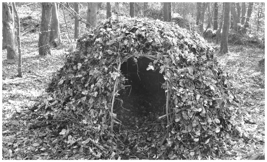 The Complete Survival Shelters Handbook: A Step-by-Step Guide to Building Life-saving Structures for Every Climate and Wilderness Situation  _81.jpg