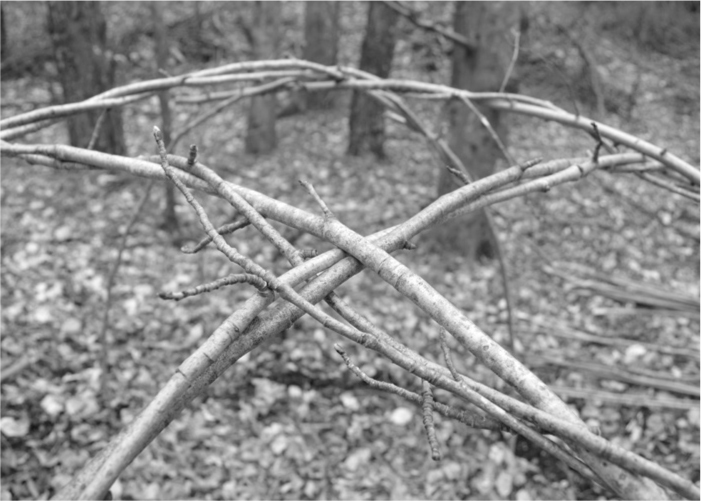 The Complete Survival Shelters Handbook: A Step-by-Step Guide to Building Life-saving Structures for Every Climate and Wilderness Situation  _85.jpg