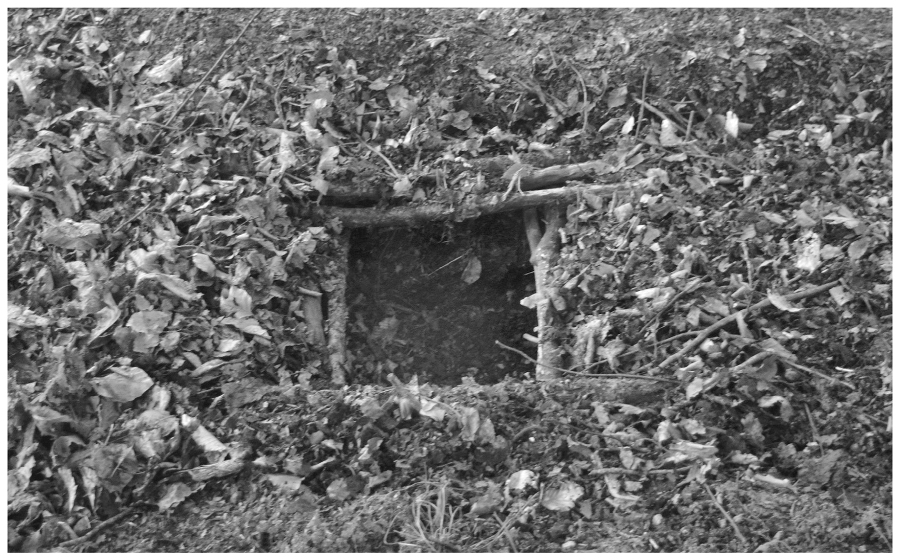 The Complete Survival Shelters Handbook: A Step-by-Step Guide to Building Life-saving Structures for Every Climate and Wilderness Situation  _92.jpg