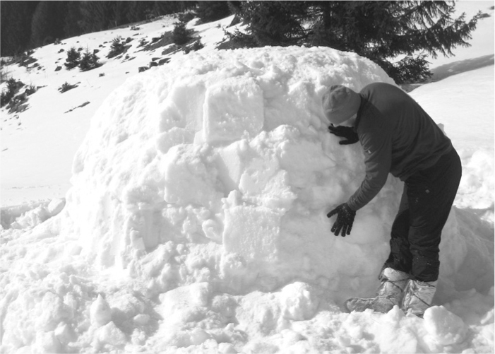 The Complete Survival Shelters Handbook: A Step-by-Step Guide to Building Life-saving Structures for Every Climate and Wilderness Situation  _102.jpg