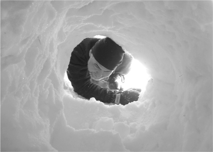 The Complete Survival Shelters Handbook: A Step-by-Step Guide to Building Life-saving Structures for Every Climate and Wilderness Situation  _112.jpg