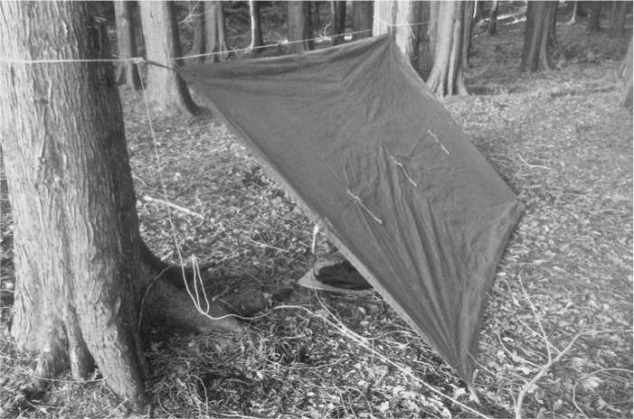 The Complete Survival Shelters Handbook: A Step-by-Step Guide to Building Life-saving Structures for Every Climate and Wilderness Situation  _152.jpg