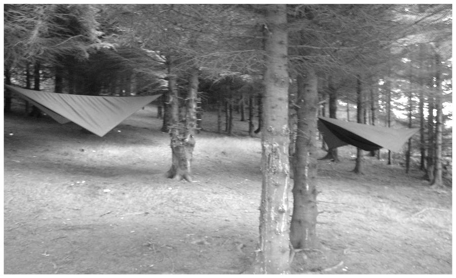 The Complete Survival Shelters Handbook: A Step-by-Step Guide to Building Life-saving Structures for Every Climate and Wilderness Situation  _303.jpg