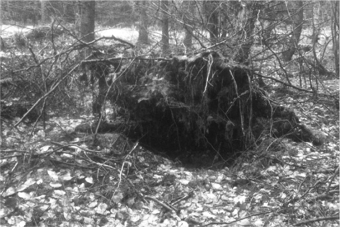 The Complete Survival Shelters Handbook: A Step-by-Step Guide to Building Life-saving Structures for Every Climate and Wilderness Situation  _17.jpg