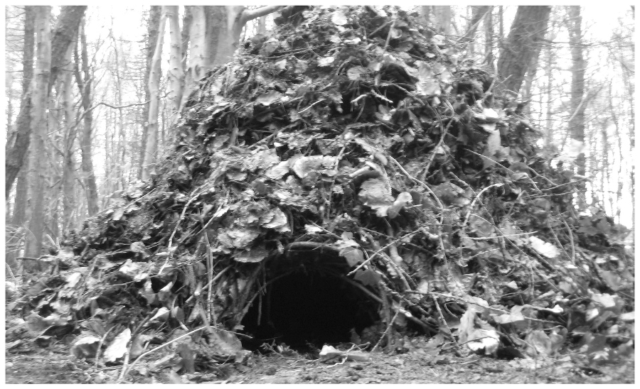 The Complete Survival Shelters Handbook: A Step-by-Step Guide to Building Life-saving Structures for Every Climate and Wilderness Situation  _26.jpg