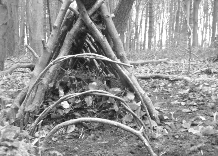 The Complete Survival Shelters Handbook: A Step-by-Step Guide to Building Life-saving Structures for Every Climate and Wilderness Situation  _40.jpg