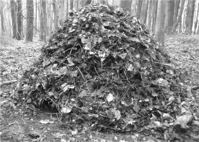 The Complete Survival Shelters Handbook: A Step-by-Step Guide to Building Life-saving Structures for Every Climate and Wilderness Situation  _44.jpg