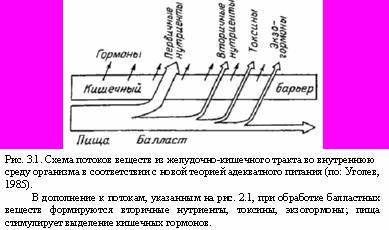 Теория адекватного питания и трофология _10.jpg