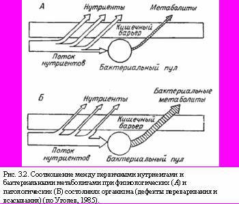 Теория адекватного питания и трофология _11.jpg