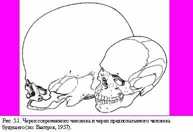 Теория адекватного питания и трофология _15.jpg