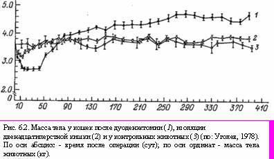 Теория адекватного питания и трофология _18.jpg