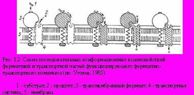 Теория адекватного питания и трофология _2.jpg