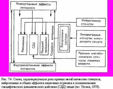 Теория адекватного питания и трофология _23.jpg