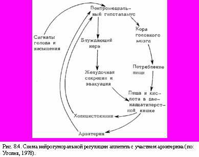 Теория адекватного питания и трофология _26.jpg
