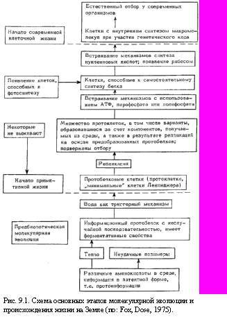 Теория адекватного питания и трофология _27.jpg
