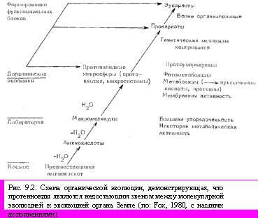 Теория адекватного питания и трофология _28.jpg