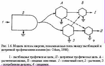 Теория адекватного питания и трофология _6.jpg