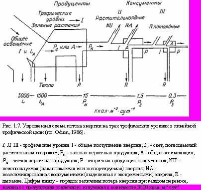 Теория адекватного питания и трофология _7.jpg