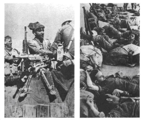 Арабо-израильские войны. 1956,1967. Дневник Синайской компании. Танки Таммуза _07.jpg