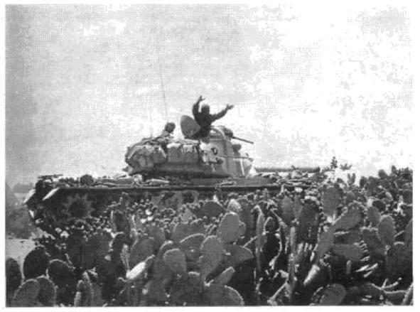 Арабо-израильские войны. 1956,1967. Дневник Синайской компании. Танки Таммуза _18.jpg